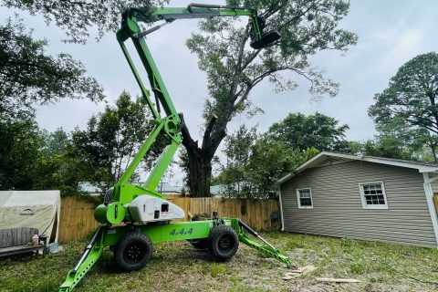 tree-being-removed-2